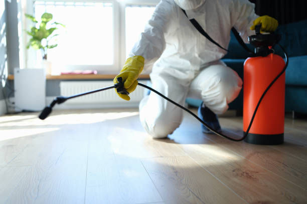 Reliable Odor Removal contractor in Riverside, IL by Dulley Family Biohazard Services